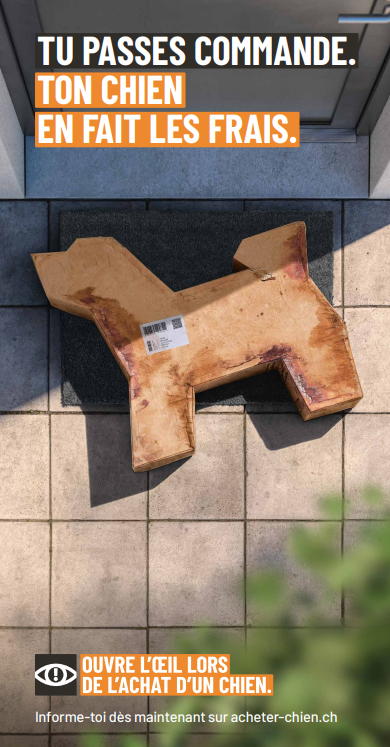 Bild Flyer Hundekampagne FR